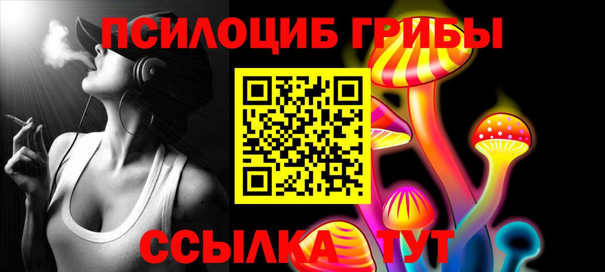 наркотики  Вход с VPN  Псилоцибиновые грибы GOLDEN TEACHER  Люберцы  Галлюциногенные грибы прущие грибы 