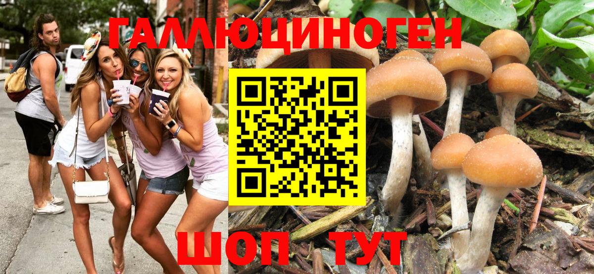 Галлюциногенные грибы MAGIC MUSHROOMS Люберцы